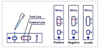 Hbsag test.png