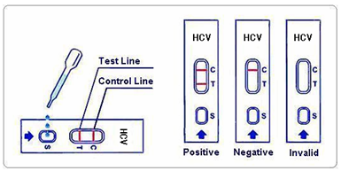 HCV test.png